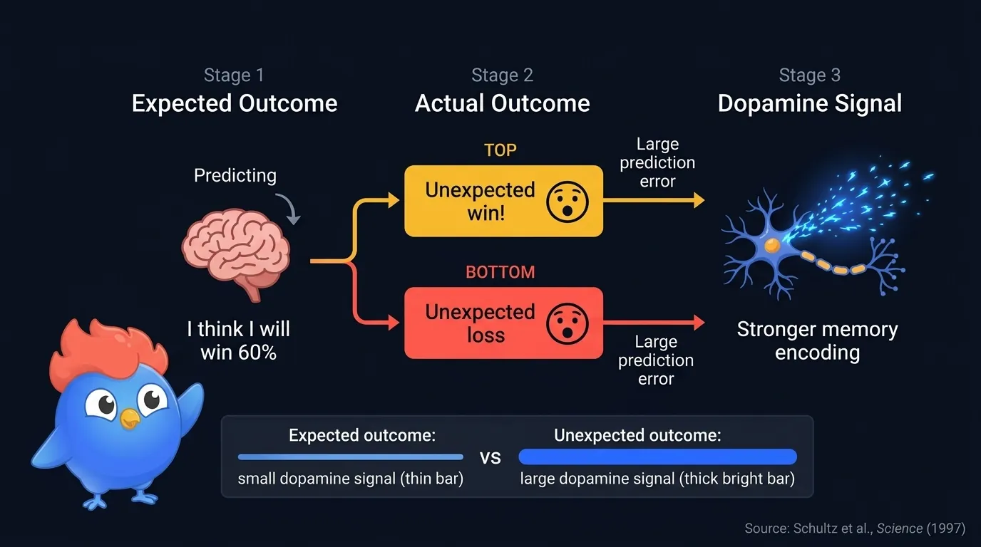 Prediction error diagram showing expected outcome producing a small dopamine signal versus unexpected outcome producing a large dopamine signal that strengthens memory encoding, based on Schultz et al 1997