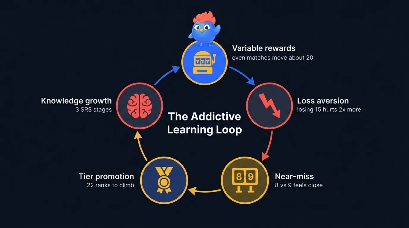 The addictive ELO loop: variable rewards scaling with rating gap and RD, loss aversion (losses hurt 2x), near-misses (8 vs 9 scores), tier promotions (22 ranks), and knowledge growth through 3 SRS mastery stages