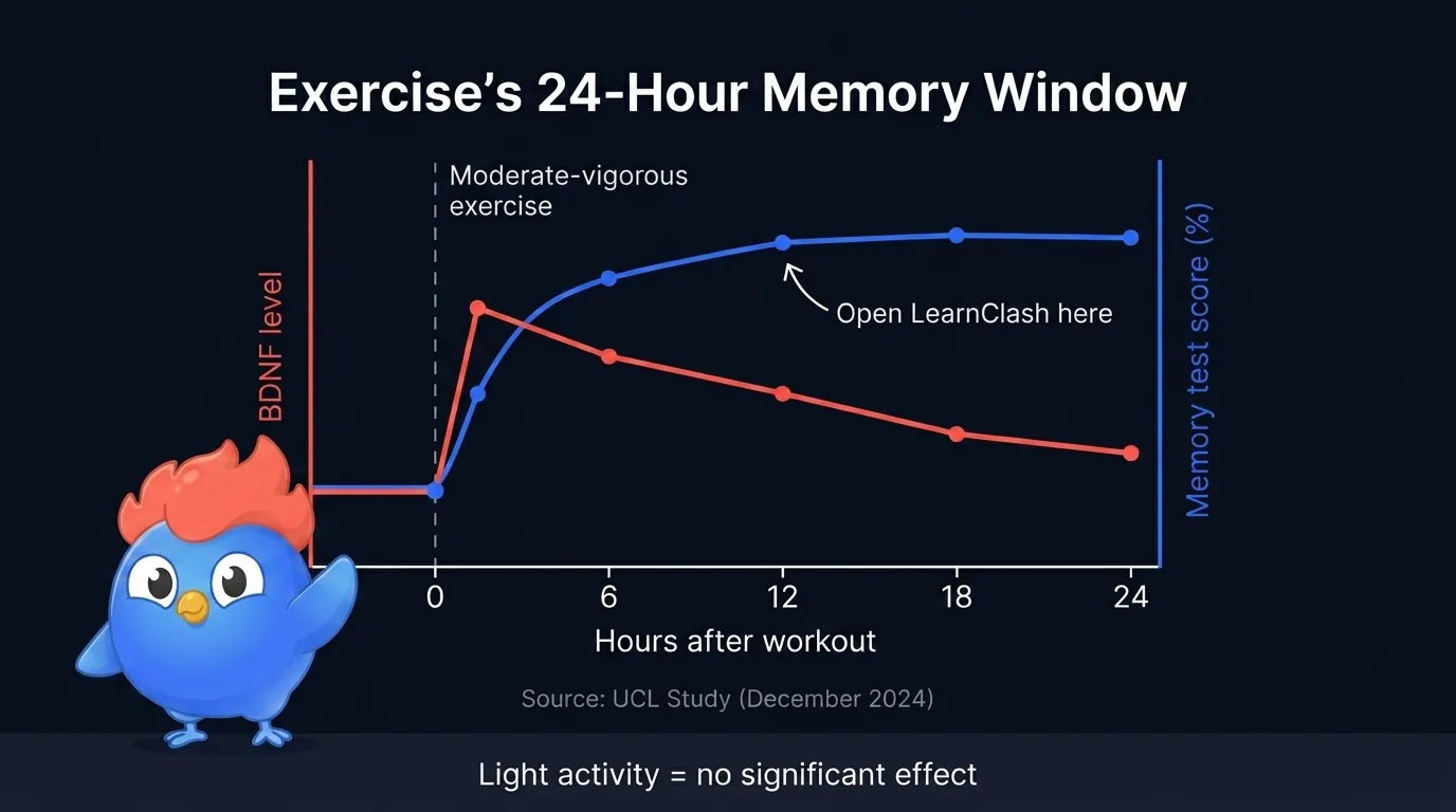 Curve showing BDNF levels rising sharply after moderate-to-vigorous exercise and staying elevated for 24 hours, overlaid on memory test scores