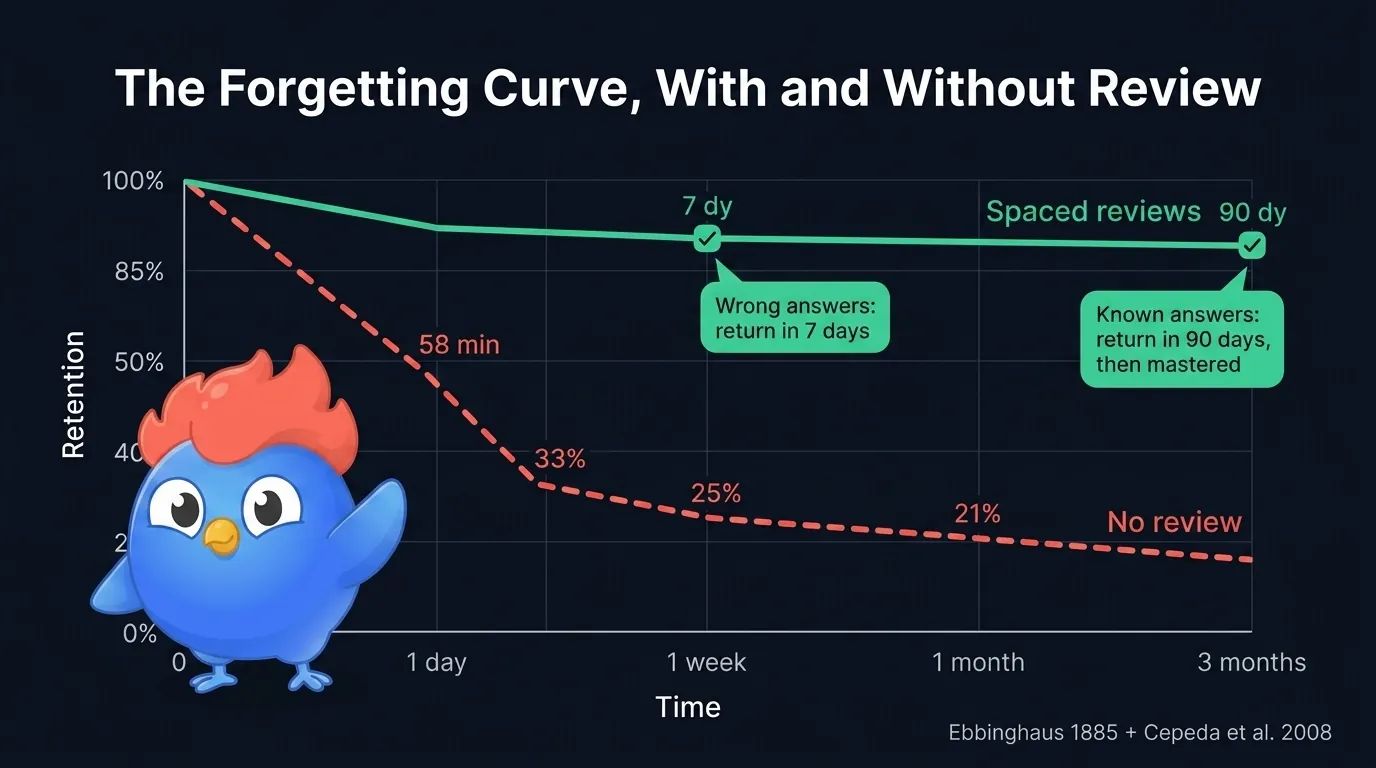 Forgetting curve diagram showing retention dropping to 33 percent after 24 hours without review, with spaced reviews at 7 and 90 day intervals resetting the curve and keeping retention above 80 percent, based on Ebbinghaus 1885 and LearnClash SRS schedule