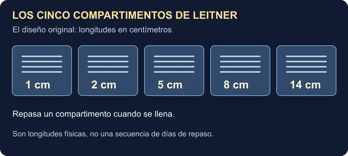 El diseño original: longitudes en centímetros: 1, 2, 5, 8, 14 cm. Son longitudes físicas, no una secuencia de días de repaso.