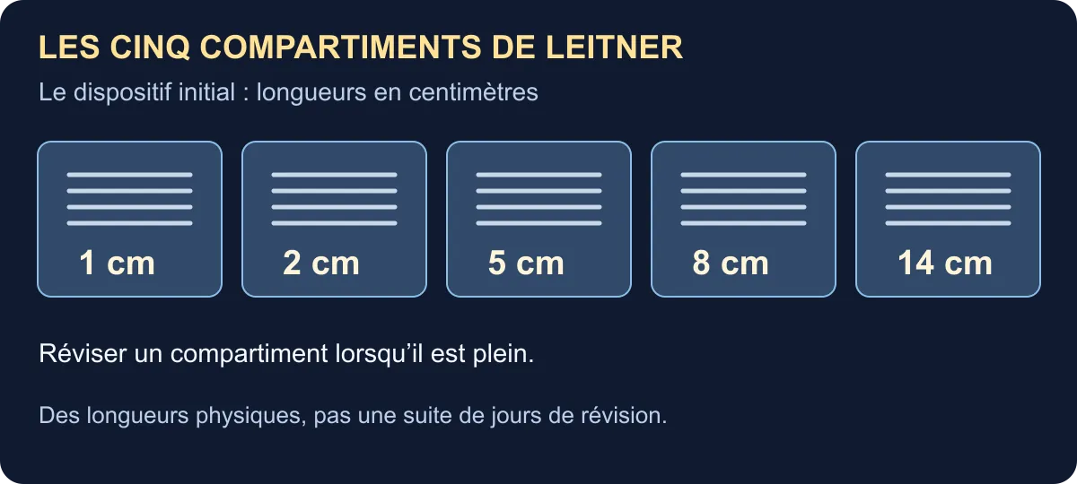 Le dispositif initial : longueurs en centimètres: 1, 2, 5, 8, 14 cm. Des longueurs physiques, pas une suite de jours de révision.