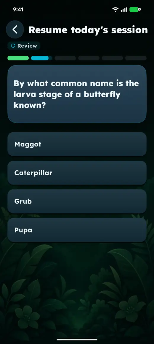 A question the player missed comes back later in Solo, marked Review.