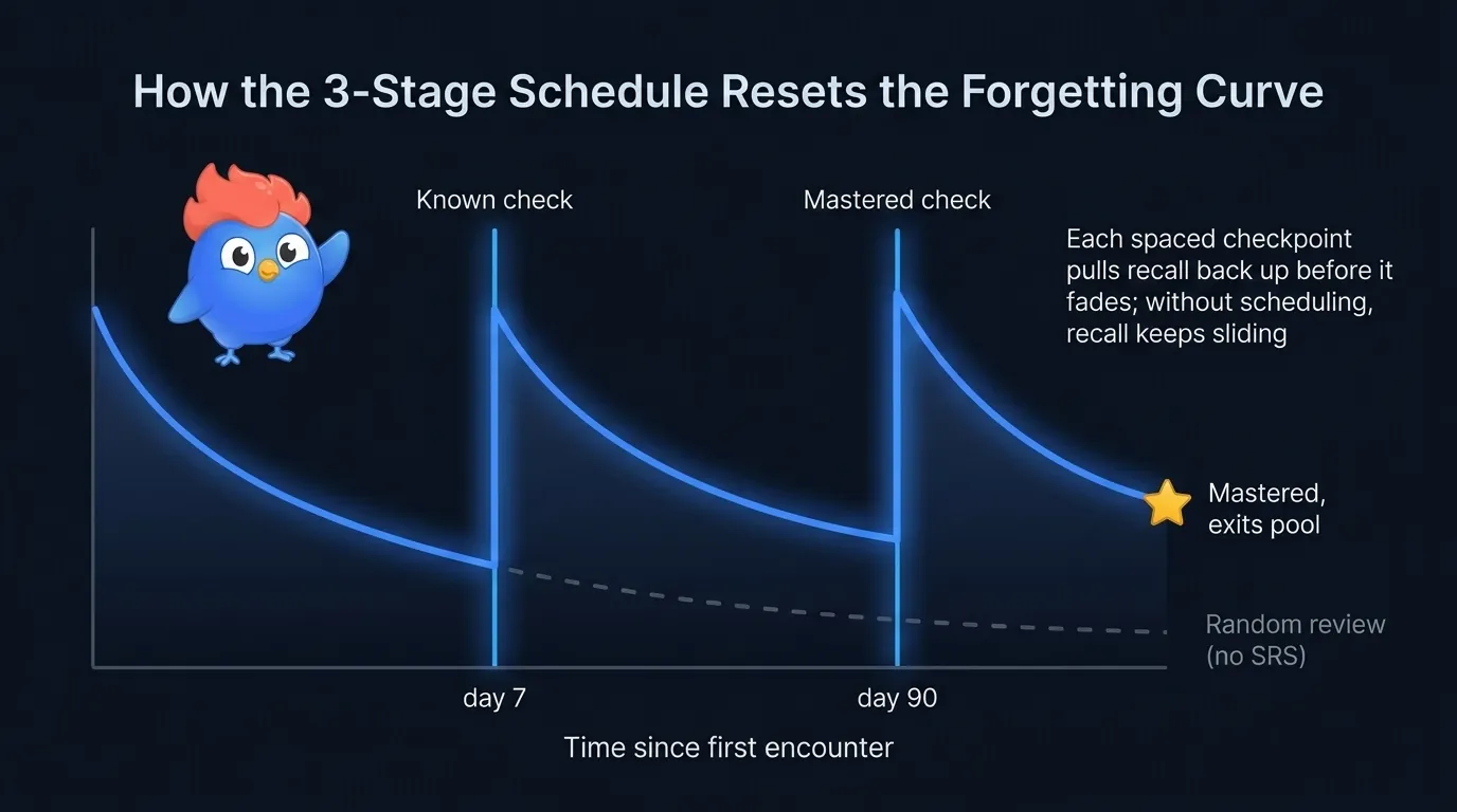 LearnClash SRS retention curve shape: a 7-day Known check, a 90-day Mastered check, and a finite endpoint where mastered cards exit the pool at around day 97, contrasted with random review that flatlines without spaced checkpoints