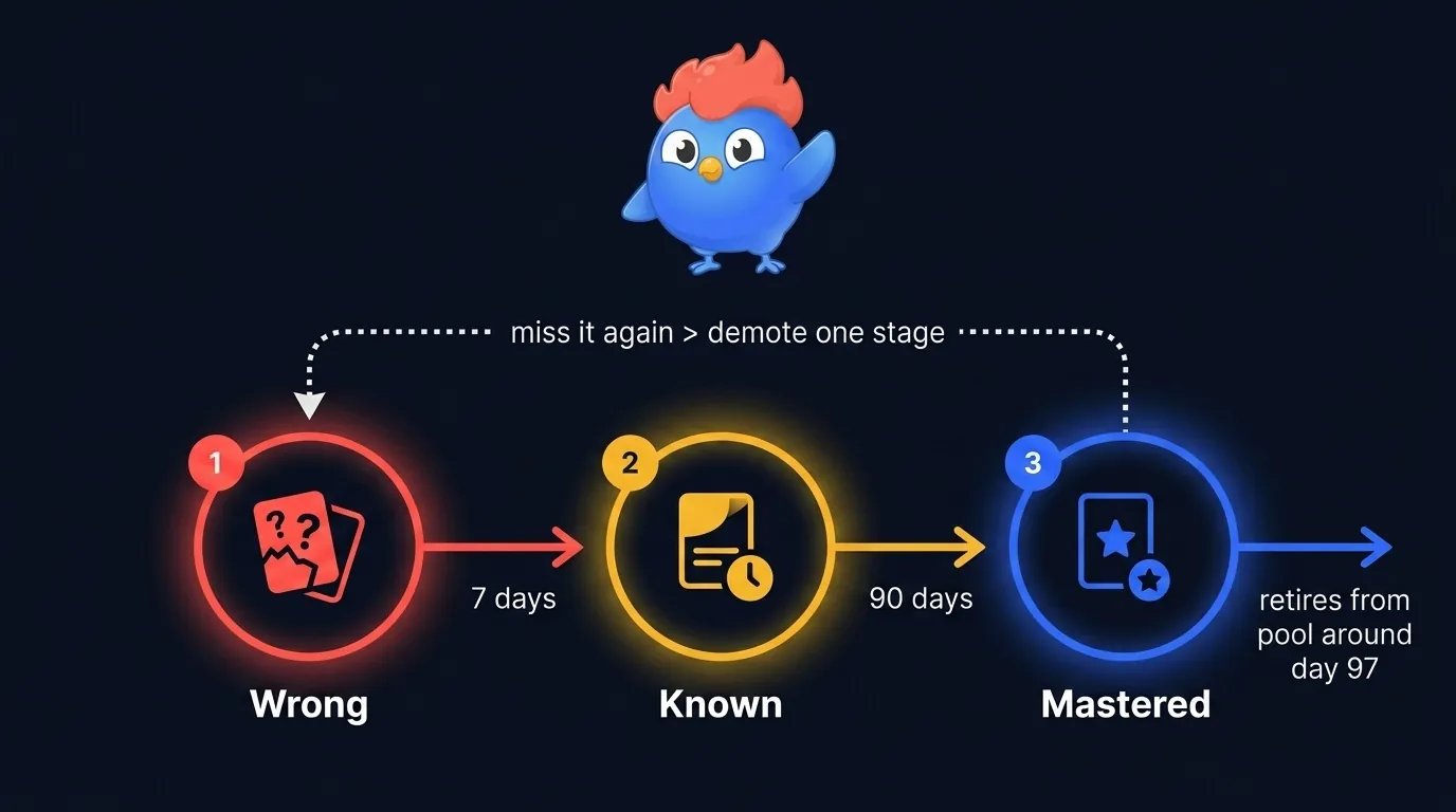 LearnClash 3-stage SRS diagram: three boxes labeled Wrong, Known, Mastered with transition arrows, showing a 7-day interval between Wrong and Known, a 90-day interval between Known and Mastered, and mastered cards exiting the pool