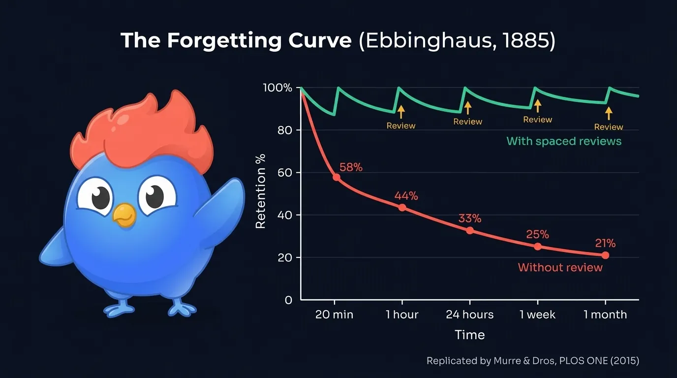 Ebbinghaus forgetting curve: retention drops from 100% to 58% at 20 min, 44% at 1 hour, 33% at 24 hours, 25% at 1 week, 21% at 1 month without review. With spaced reviews, retention stays above 80% at each interval