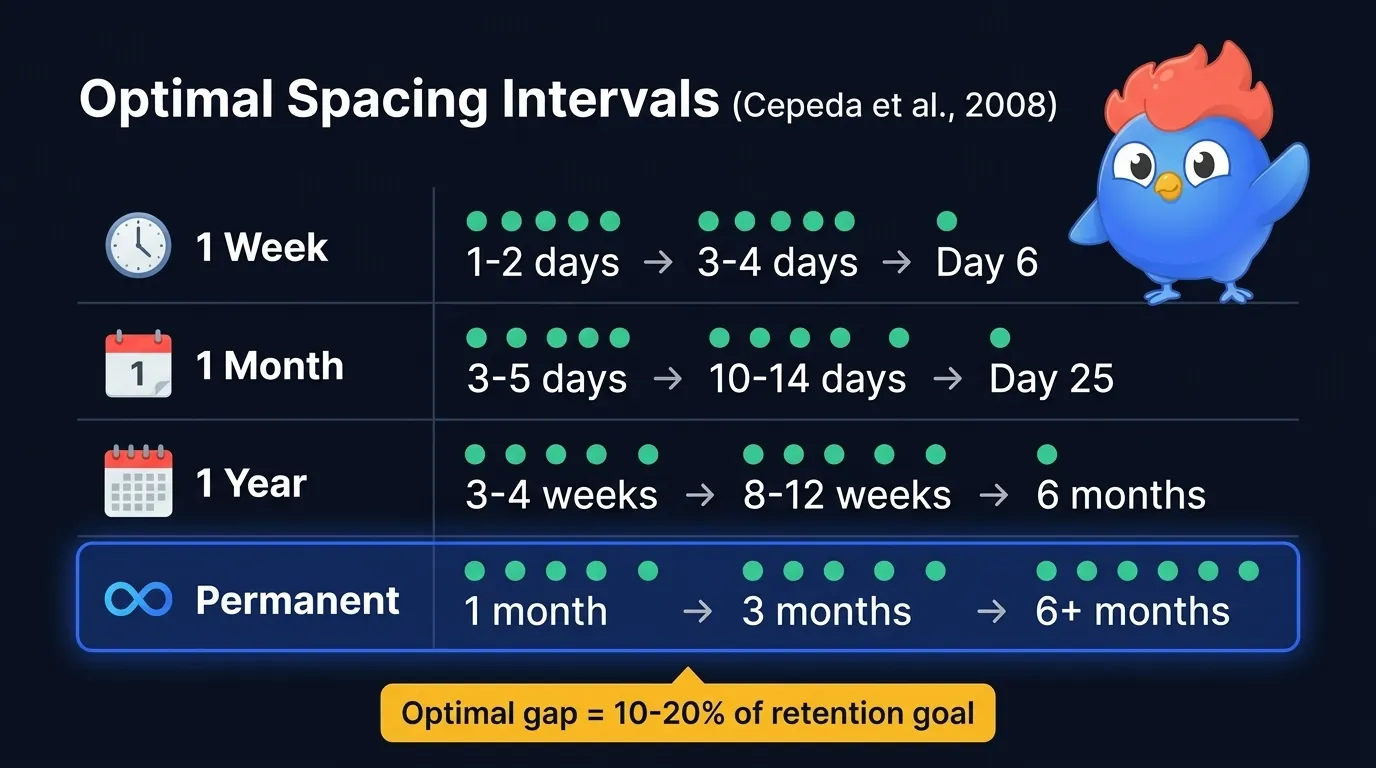 Optimal spaced repetition intervals: review gap scales to 10-20% of retention goal. 1 week retention needs 1-2 day gap, 1 month needs 3-5 days, 1 year needs 3-4 weeks, permanent needs 1 month first review (Cepeda 2008)