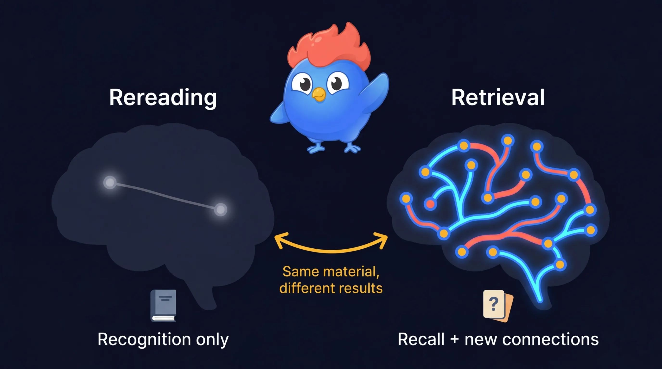 Brain diagram showing passive rereading creating a weak single memory trace versus active retrieval creating multiple strong neural pathways in LearnClash quiz duels